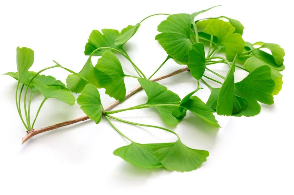 Ginkgo biloba kapsulėse Insuvit